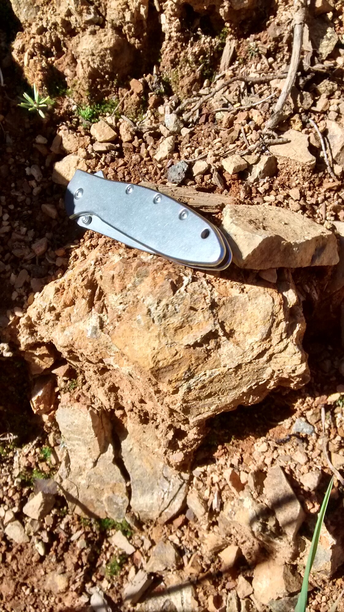 Gossanous quartz-stockwork outcrop on the CR property, Cariboo region, British Columbia, September 2014